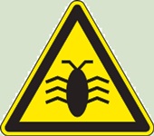 BugsBunny